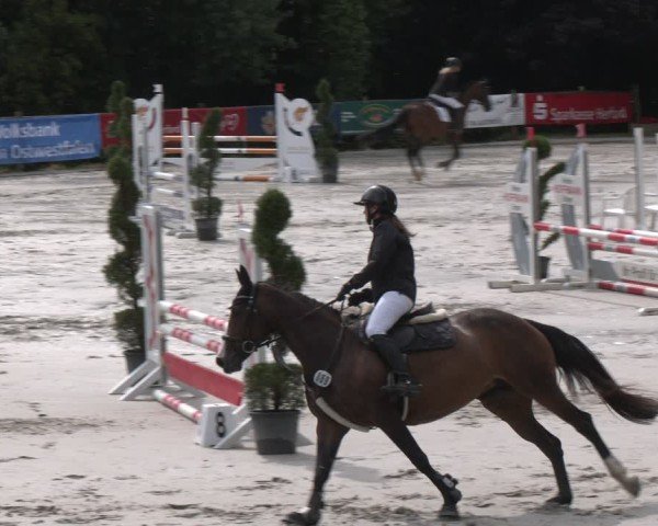 Reitturnier Vlotho-Exter 2025