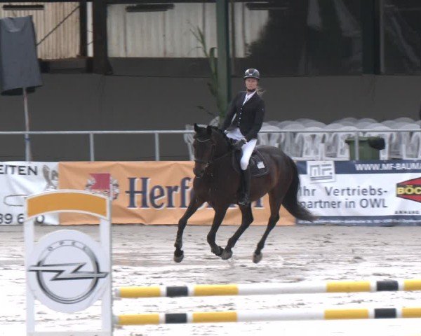 Reitturnier Vlotho-Exter 2025