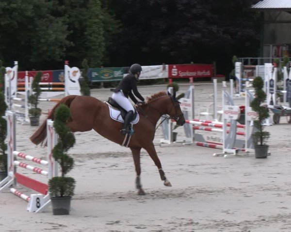 Reitturnier Vlotho-Exter 2025