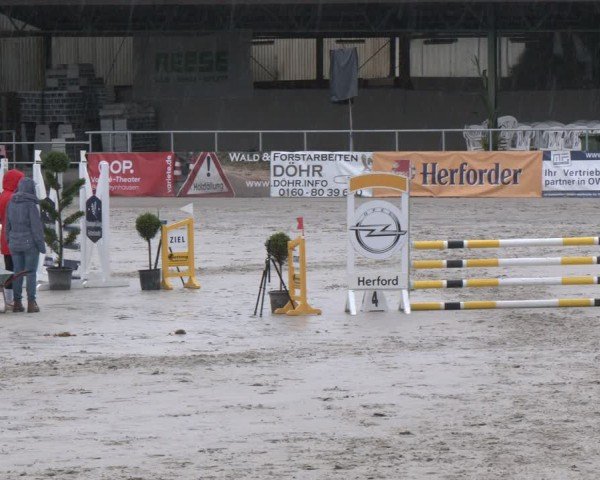Reitturnier Vlotho-Exter 2025