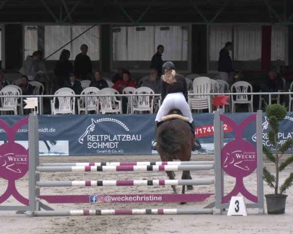 Reitturnier Vlotho-Exter 2025
