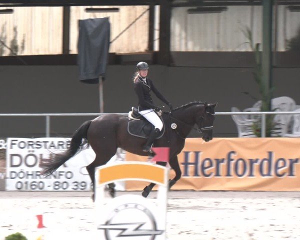 Reitturnier Vlotho-Exter 2025