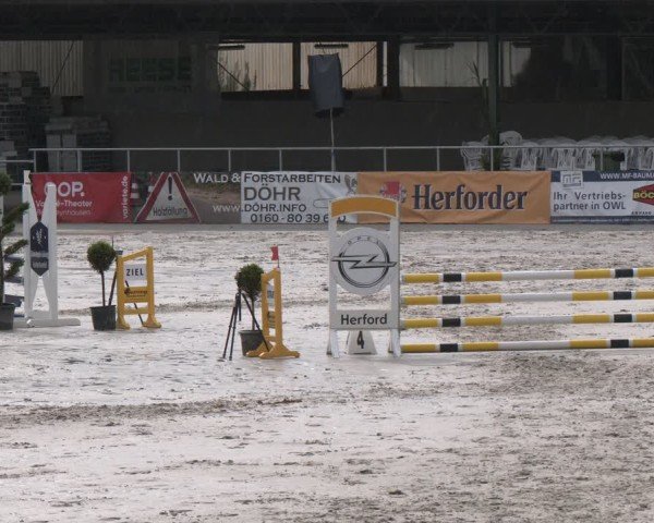 Reitturnier Vlotho-Exter 2025