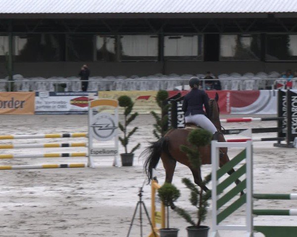 Reitturnier Vlotho-Exter 2025