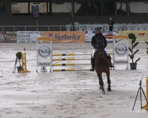 Reitturnier Vlotho-Exter 2025