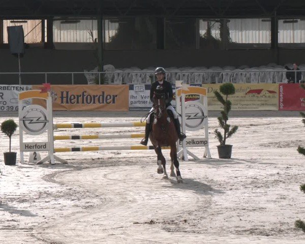 Reitturnier Vlotho-Exter 2025