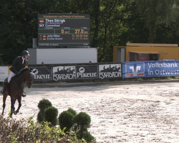 Reitturnier Vlotho-Exter 2025
