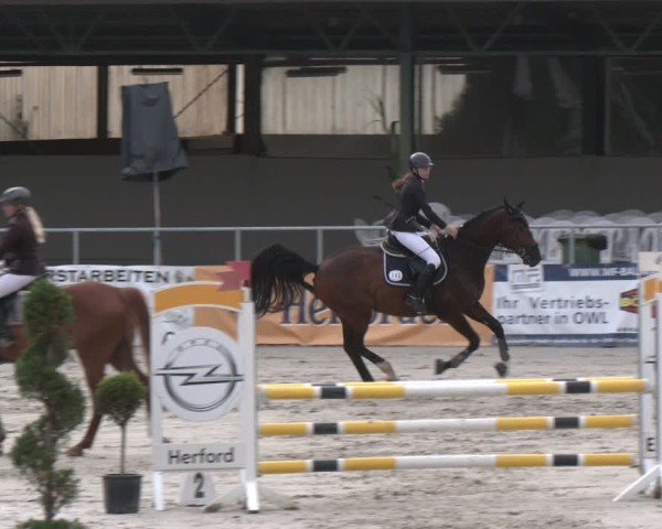 Reitturnier Vlotho-Exter 2025