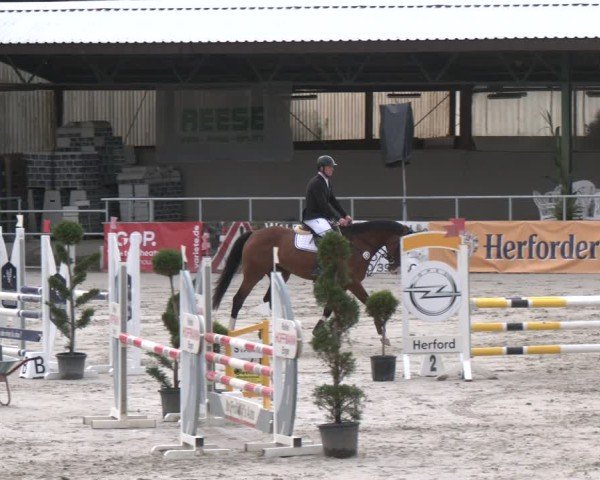 Reitturnier Vlotho-Exter 2025