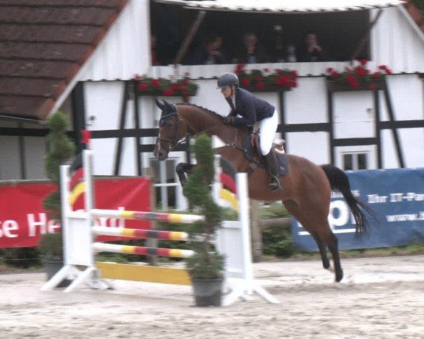 Reitturnier Vlotho-Exter 2025