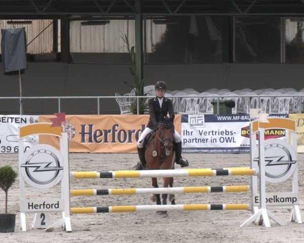Reitturnier Vlotho-Exter 2025