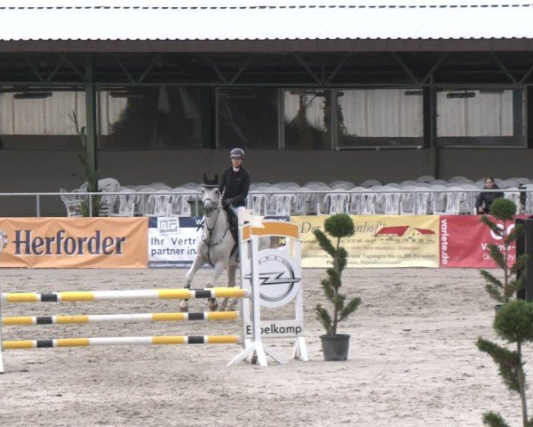 Reitturnier Vlotho-Exter 2025