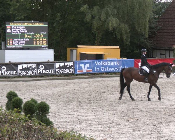Reitturnier Vlotho-Exter 2025