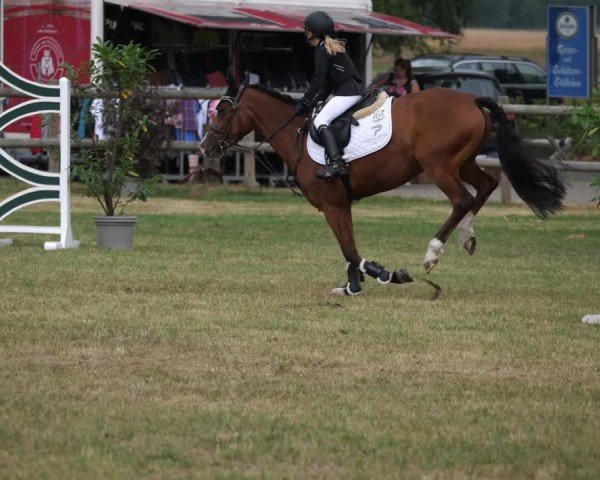 Reitturnier Engter 2025