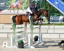 Springpferd Quirox Fs (Deutsches Sportpferd, 2016, von Quitoll)