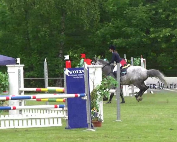 Grosses Freilandreitturnier Leingarten 2014