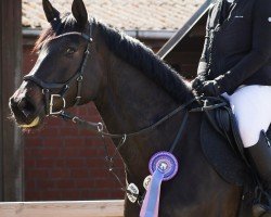 jumper Deichhof's Baloumina (Hanoverian, 2020, from Baloutaire PS)