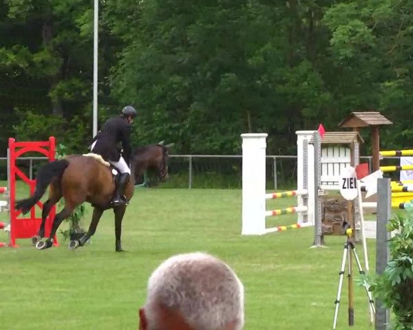 Grosses Freilandreitturnier Leingarten 2014