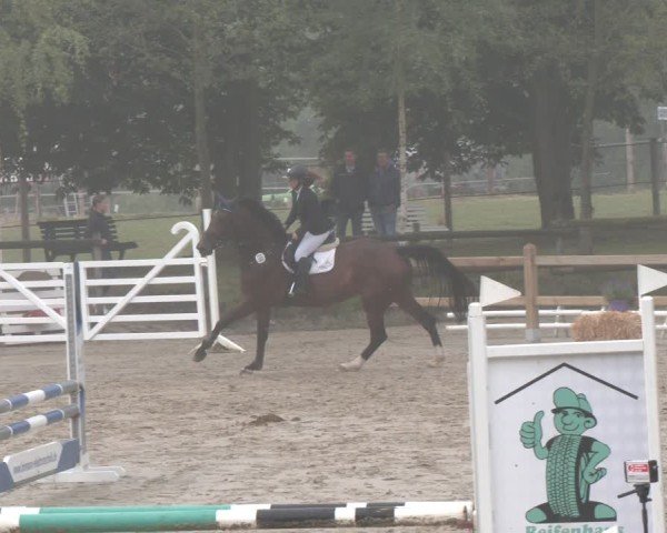 Reitturnier Herbern 2025