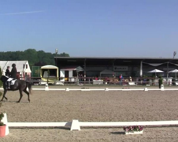 Großes Reit- und Springturnier Kirchhellen/Stall Dieckmann 2014