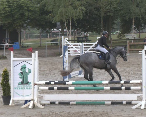 Reitturnier Herbern 2025