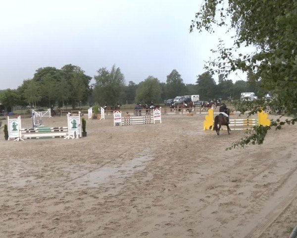 Reitturnier Herbern 2025