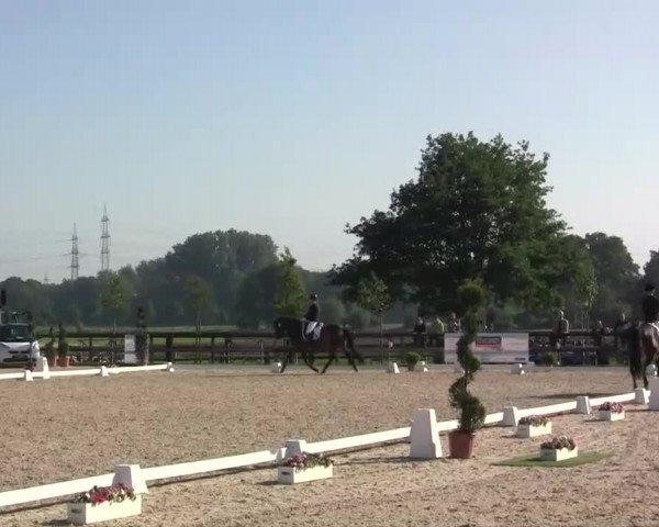 Großes Reit- und Springturnier Kirchhellen/Stall Dieckmann 2014