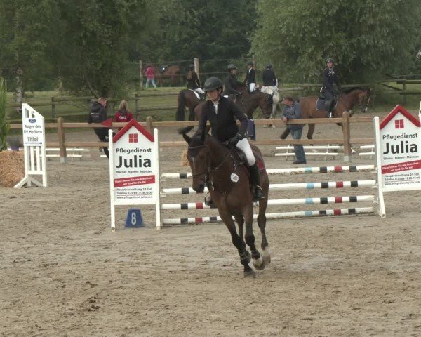 Reitturnier Herbern 2025