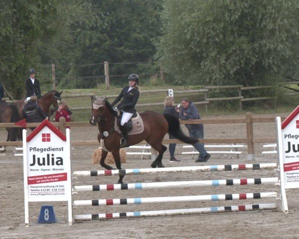Reitturnier Herbern 2025