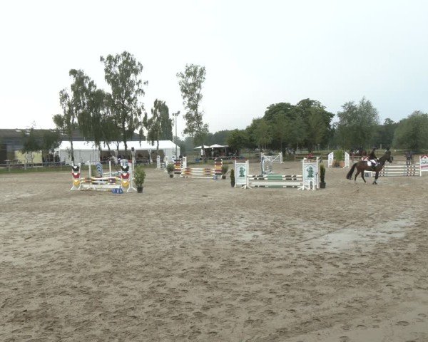 Reitturnier Herbern 2025