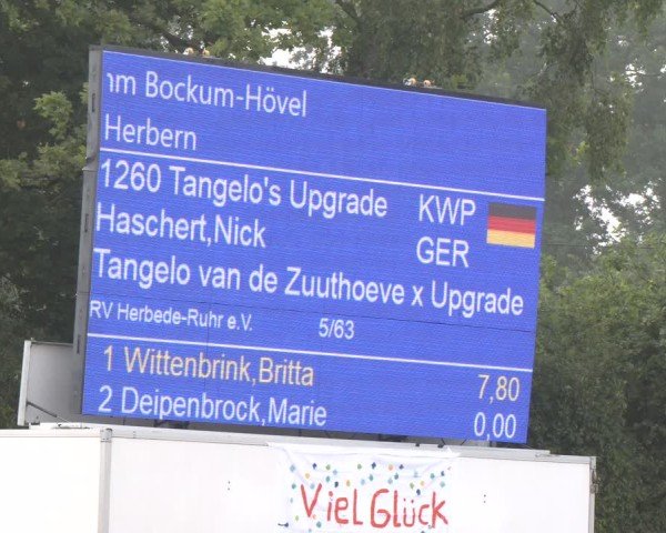 Reitturnier Herbern 2025