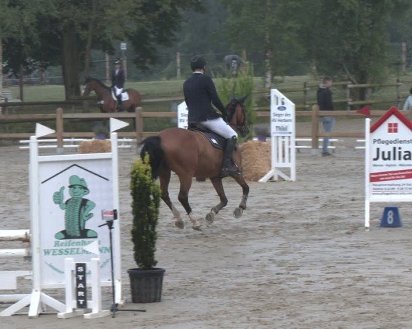Reitturnier Herbern 2025