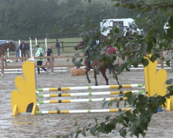 Reitturnier Herbern 2025