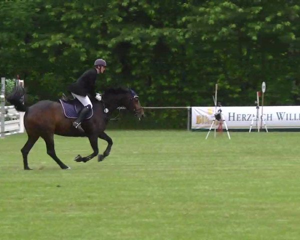 Grosses Freilandreitturnier Leingarten 2014