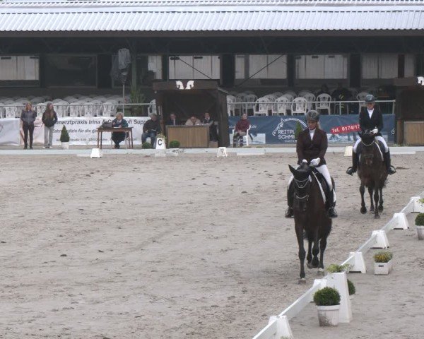 Reitturnier Vlotho-Exter 2025