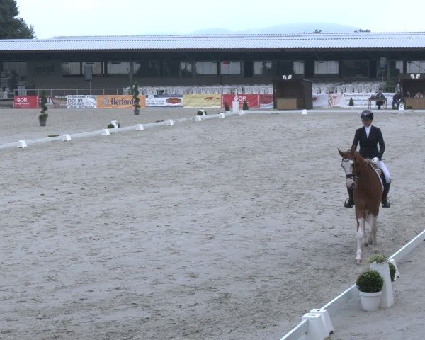 Reitturnier Vlotho-Exter 2025
