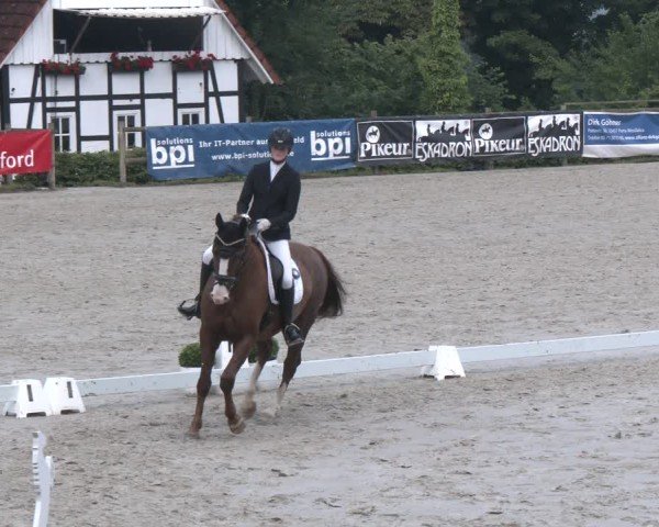 Reitturnier Vlotho-Exter 2025