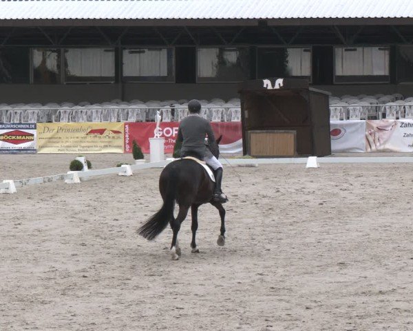 Reitturnier Vlotho-Exter 2025