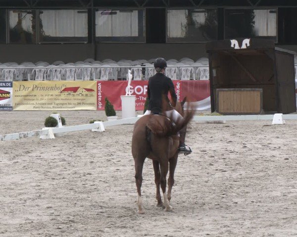 Reitturnier Vlotho-Exter 2025