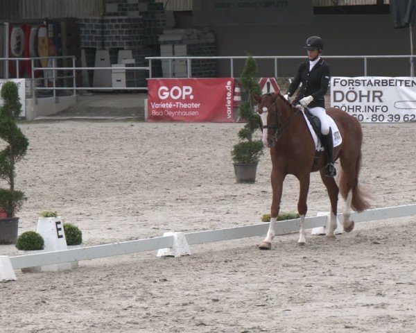 Reitturnier Vlotho-Exter 2025