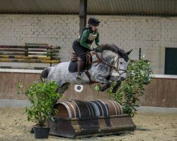 jumper Miss Mira 3 (unknown, 2020)