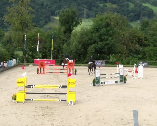 Reitturnier Maienfeld 2025