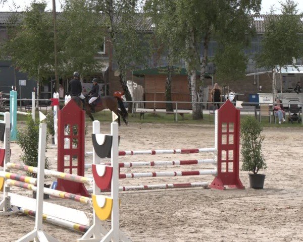 Reitturnier Herbern 2025