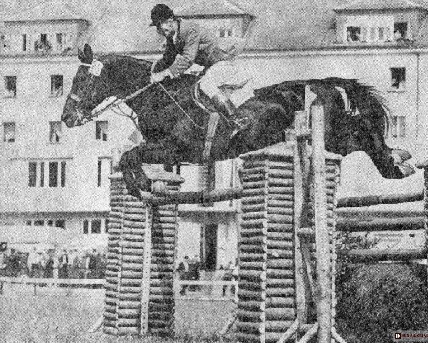 Deckhengst Cirrus 4044 POL (Wielkopolska, 1954, von Flötenspieler)