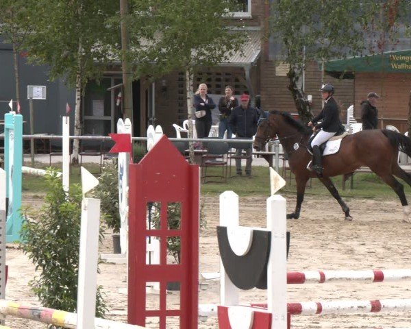 Reitturnier Herbern 2025