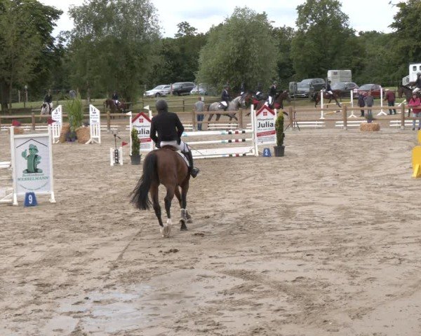 Reitturnier Herbern 2025