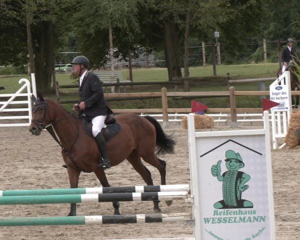 Reitturnier Herbern 2025