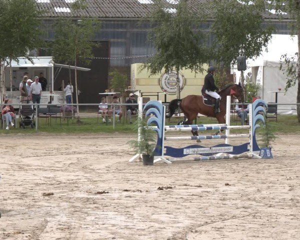 Reitturnier Herbern 2025