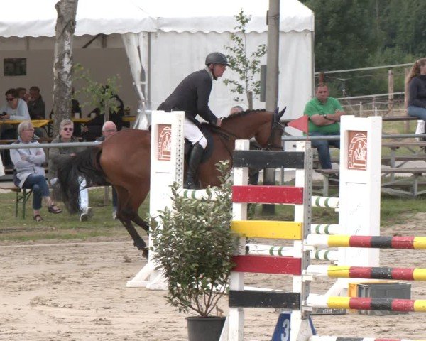 Reitturnier Herbern 2025