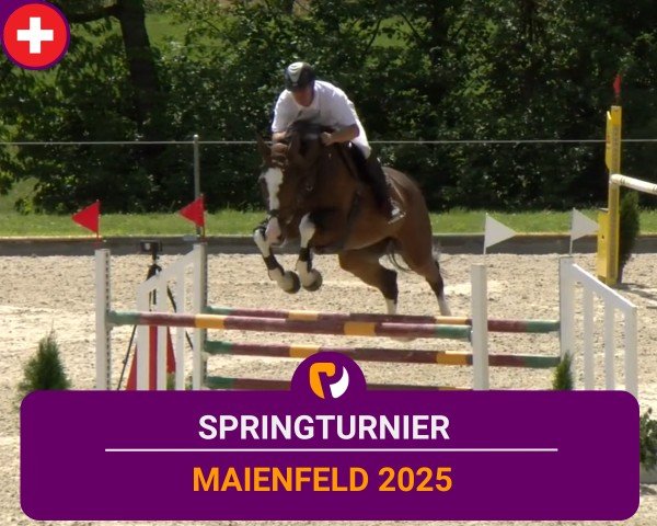 Reitturnier Maienfeld 2025